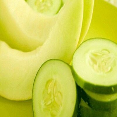 Cucumber Melon Fragrance Oil Candle/soap Making Supplies ***free Shipping***